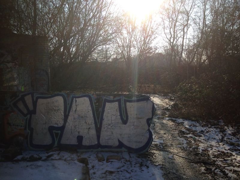 Graffiti Bombing - Photo by DIRK