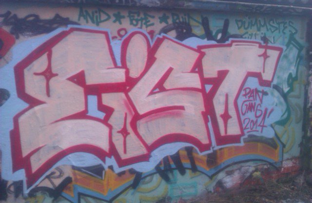 Graffiti Bombing - Photo by DIRK