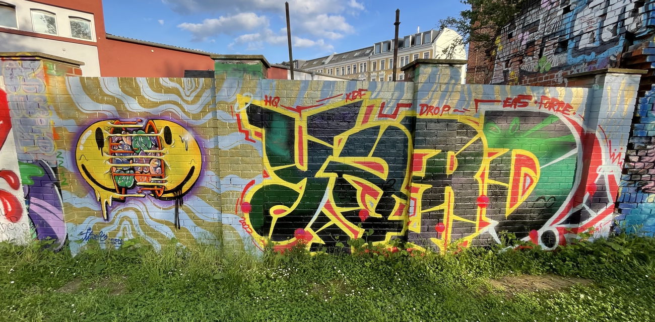 Graffiti Wall - Photo by DISOE - kbf, fda, yard (2024)