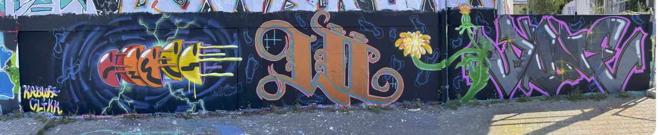 Graffiti Wall - Photo by DISOE - löwenzahn, fda, june (2022)