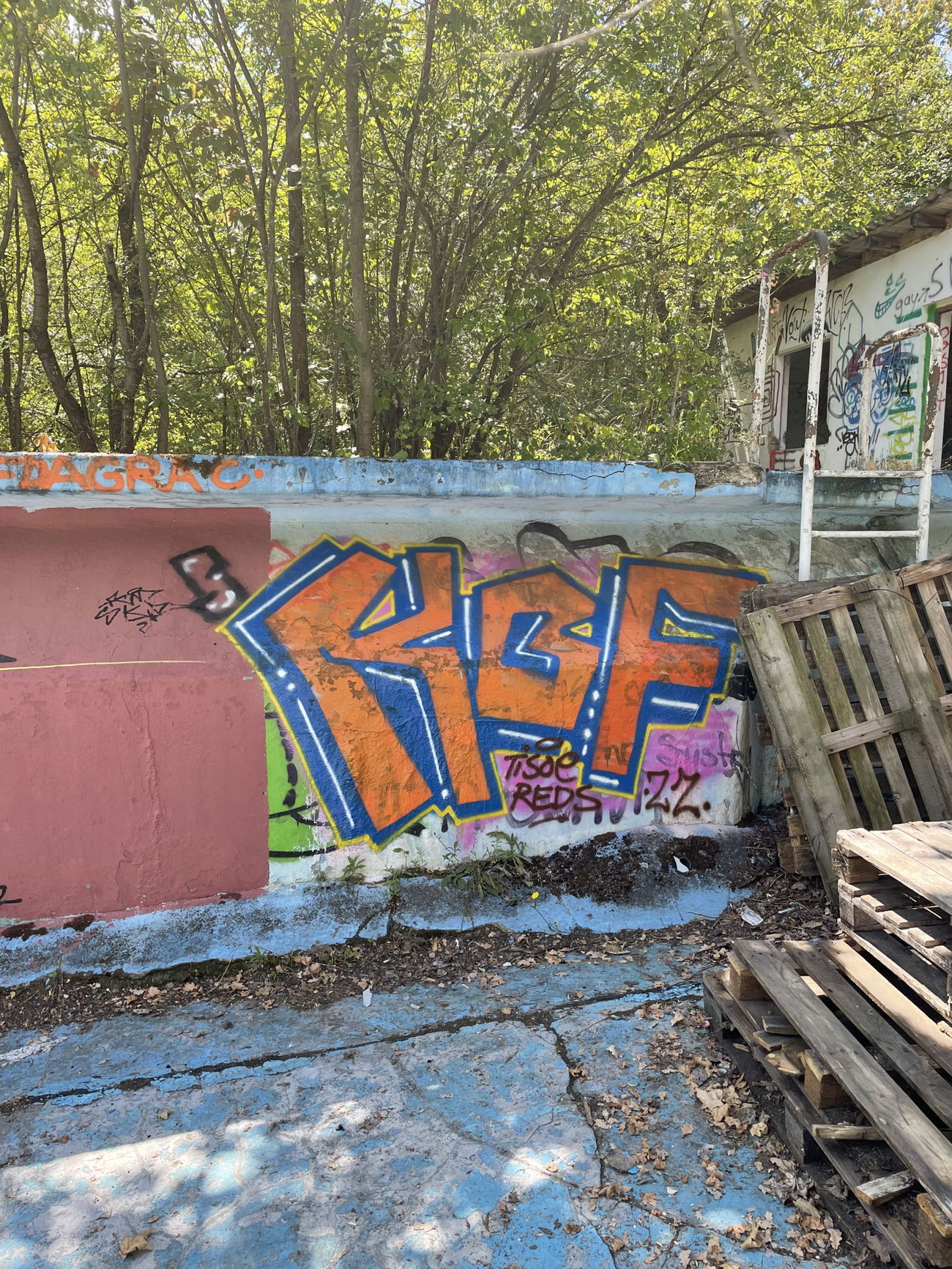 Graffiti Wall - Photo by DISOE