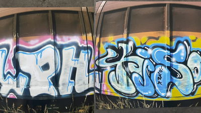 Graffiti of the Week 7/2026