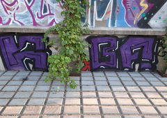 Photo #249086 by iobe1