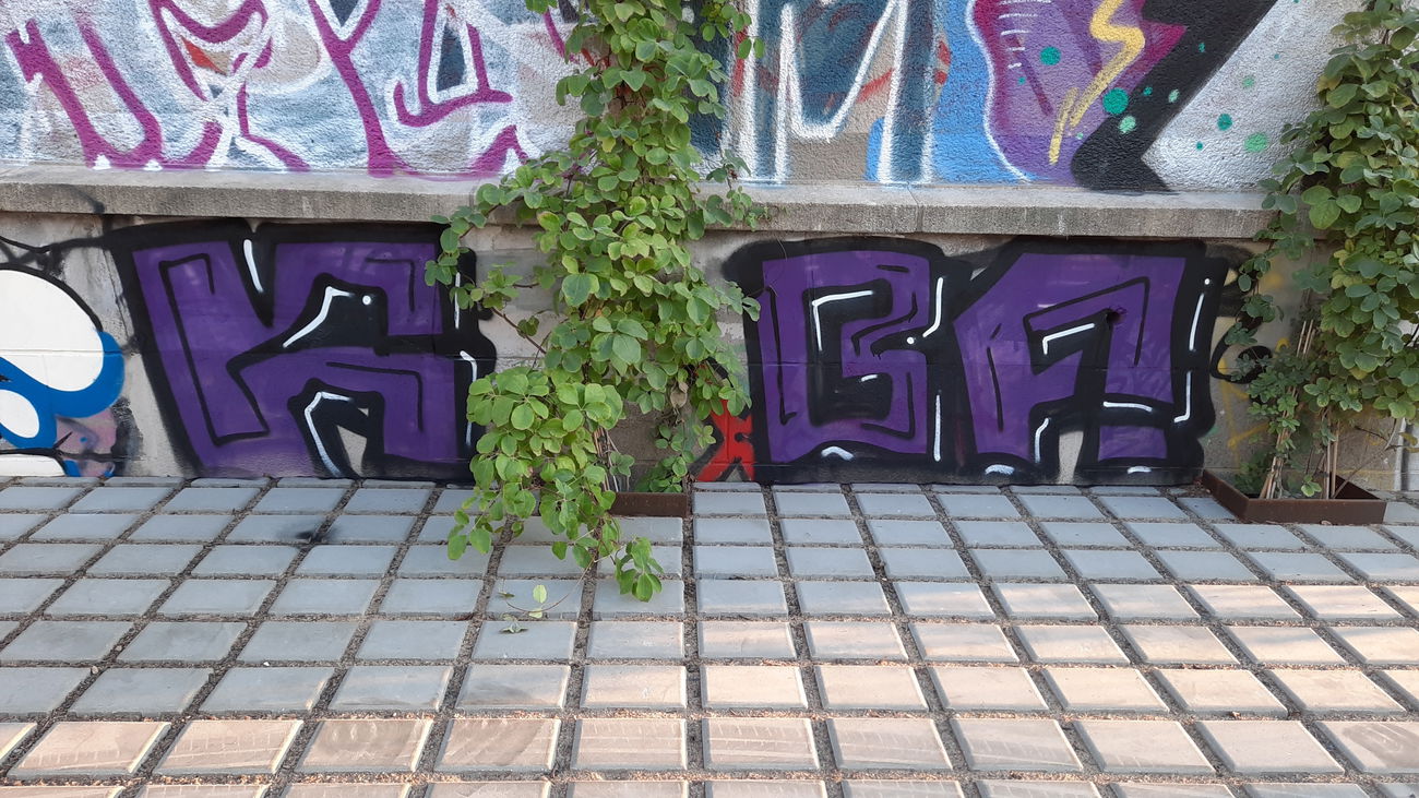 Graffiti Wall - Photo by DISOE