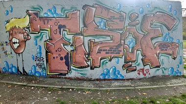 Graffiti Wall - Photo by DISOE - pig (2020)
