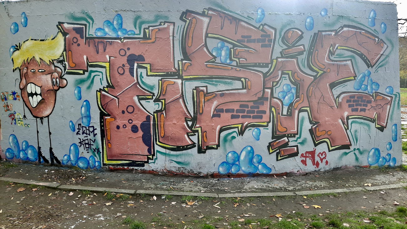 Graffiti Wall - Photo by DISOE - pig (2020)