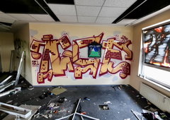 Photo #249666 by TheWallHunter