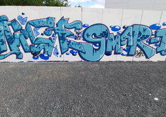 Photo #249667 by TheWallHunter