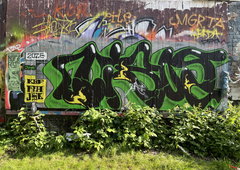 Photo #251047 by iobe1