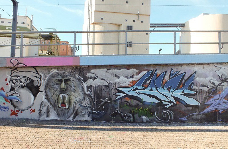 Graffiti Wall - Photo by DKO - erfurt, wof, dko