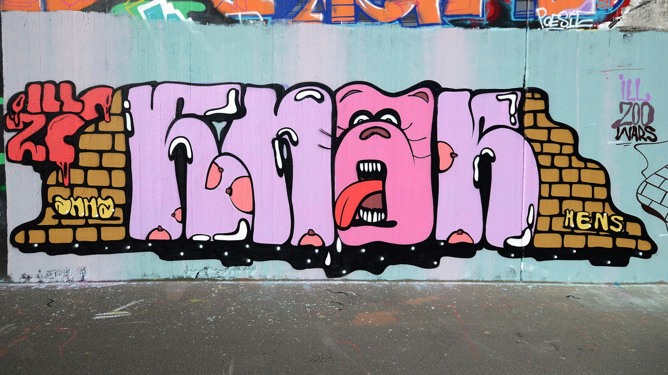 Graffiti Wall - Photo by DKO - rtwgskrsl, ffm, wof