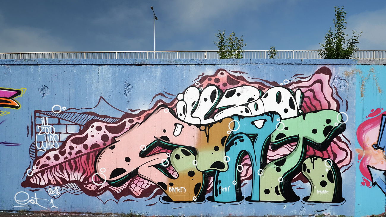 Graffiti Wall - Photo by DKO - rtwgskrsl, ffm, wof