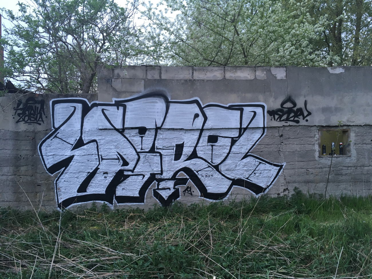 Graffiti Bombing - Photo by DKVCREW - SPIROL, DKV, TSC