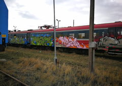 Graffiti Bombing - Photo by DKVCREW - MAZIM, TSC, DKV (2019)