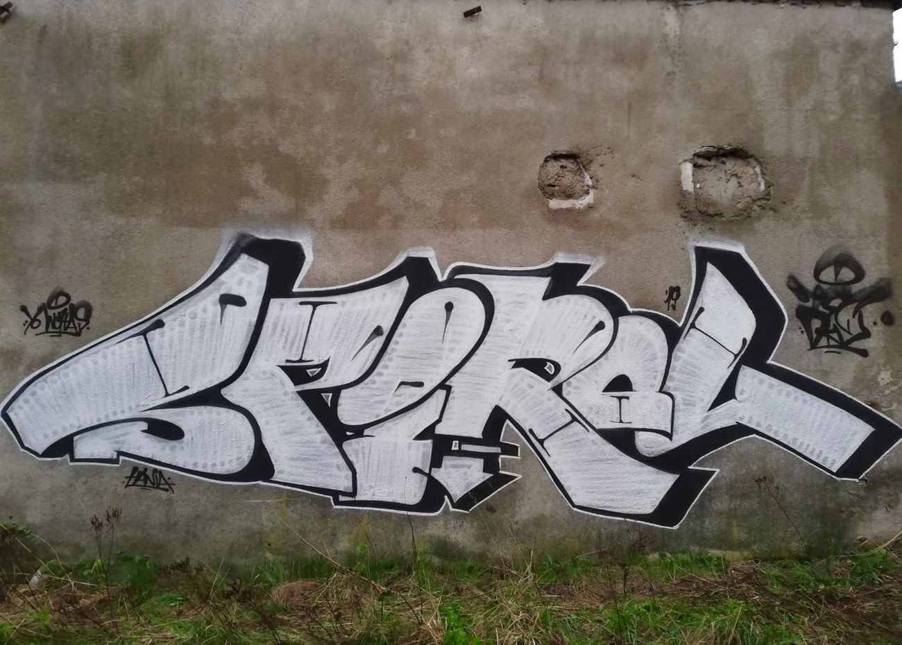 Graffiti Bombing - Photo by DKVCREW - DKV, TSC, SPIROL (2019)