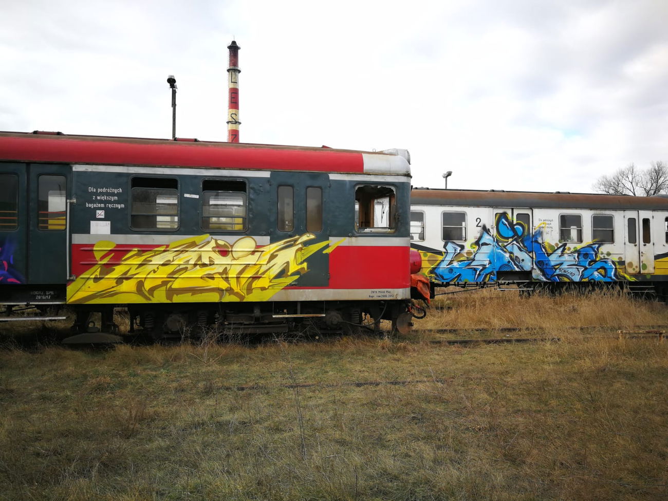 Graffiti Train - Photo by DKVCREW - MAZIM, TSC, DKV (2019)