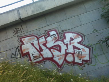 Graffiti Bombing in Leipzig - Photo by DMENZ - nsr, gang, nuttenschläger