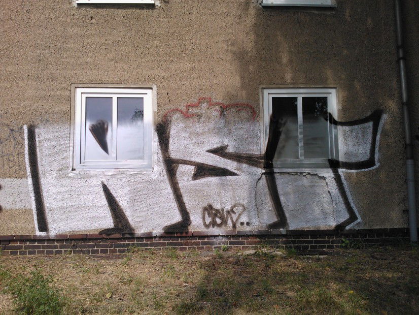 Graffiti Bombing in Leipzig - Photo by DMENZ - nsr, dmenz (2013)