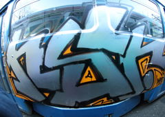 Photo #82180 by TagHagel