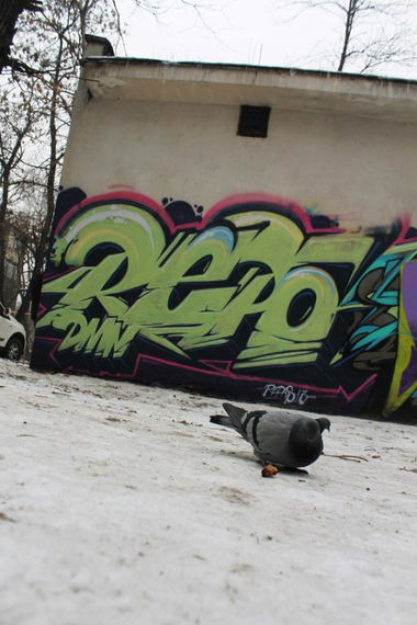 Graffiti Wall - Photo by DMN - Repas, DMN, Almaty (2014)
