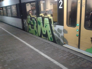 Graffiti Train - Photo by DOHE - cops, rip, slam (2014)