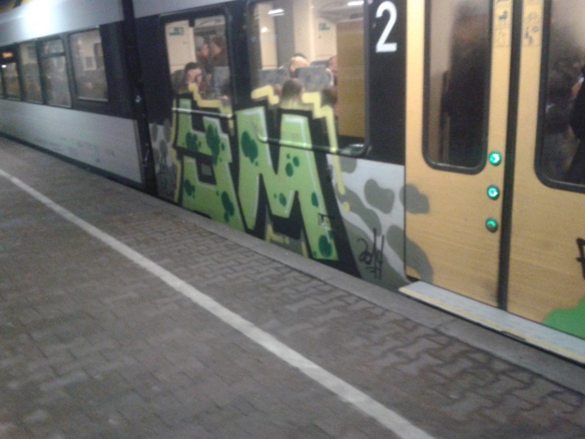 Graffiti Train - Photo by DOHE - cops, rip, slam (2014)