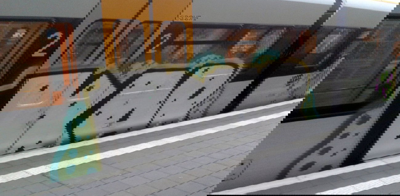 Graffiti Train in Münster - Photo by DOHE - KAR, LOOP, OZ (2014)