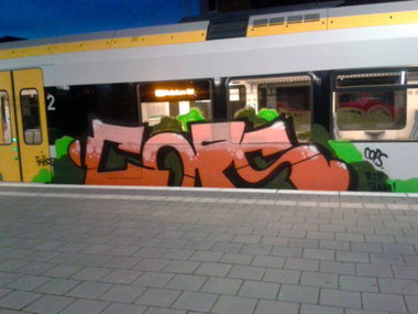 Graffiti Train - Photo by DOHE - cops, rip, slam (2014)