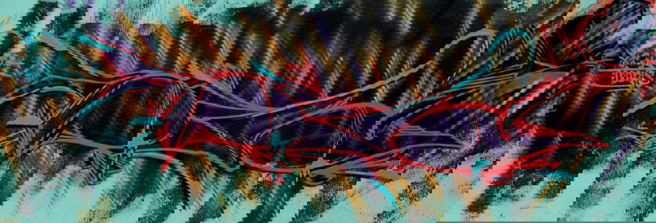 Graffiti Wall in Denizli - Photo by DOUGCA - DOUGCOLOR