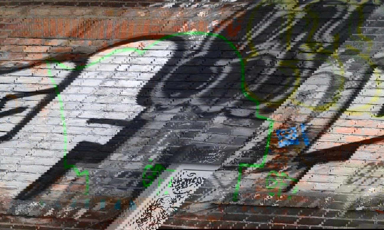 Graffiti Bombing - Photo by DOVE1