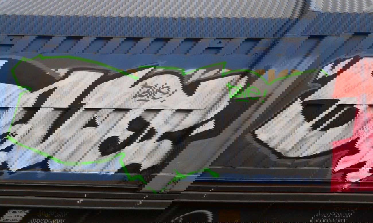 Graffiti Train - Photo by DOVE1