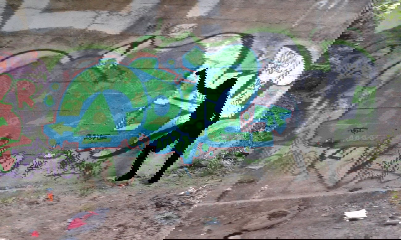 Graffiti Wall - Photo by DOVE1