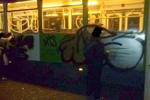 Graffiti Train - Photo by DOVE1 - alcer