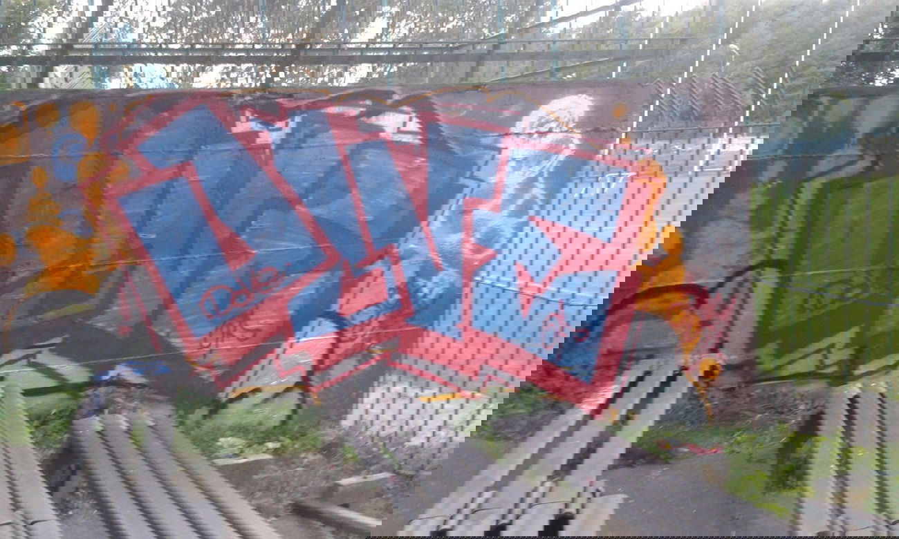 Graffiti Bombing - Photo by DOVE1