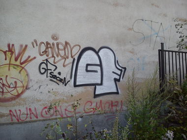 Graffiti Bombing - Photo by DOVE1 - gorzów
