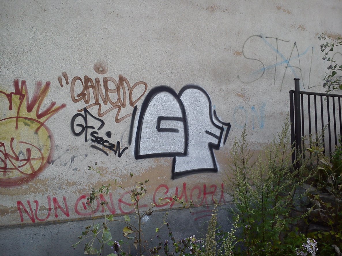 Graffiti Bombing - Photo by DOVE1 - gorzów