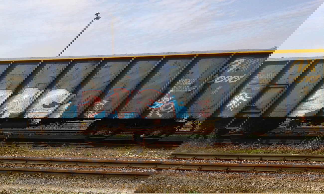 Graffiti Train - Photo by DOVE1 - 3
