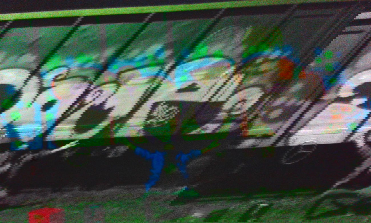 Graffiti Train - Photo by DOVE1