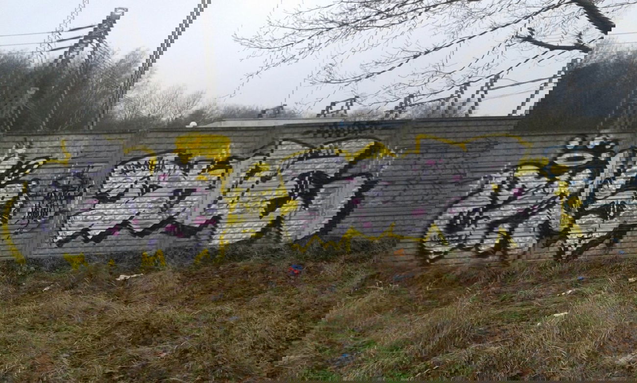 Graffiti Bombing - Photo by DOVE1