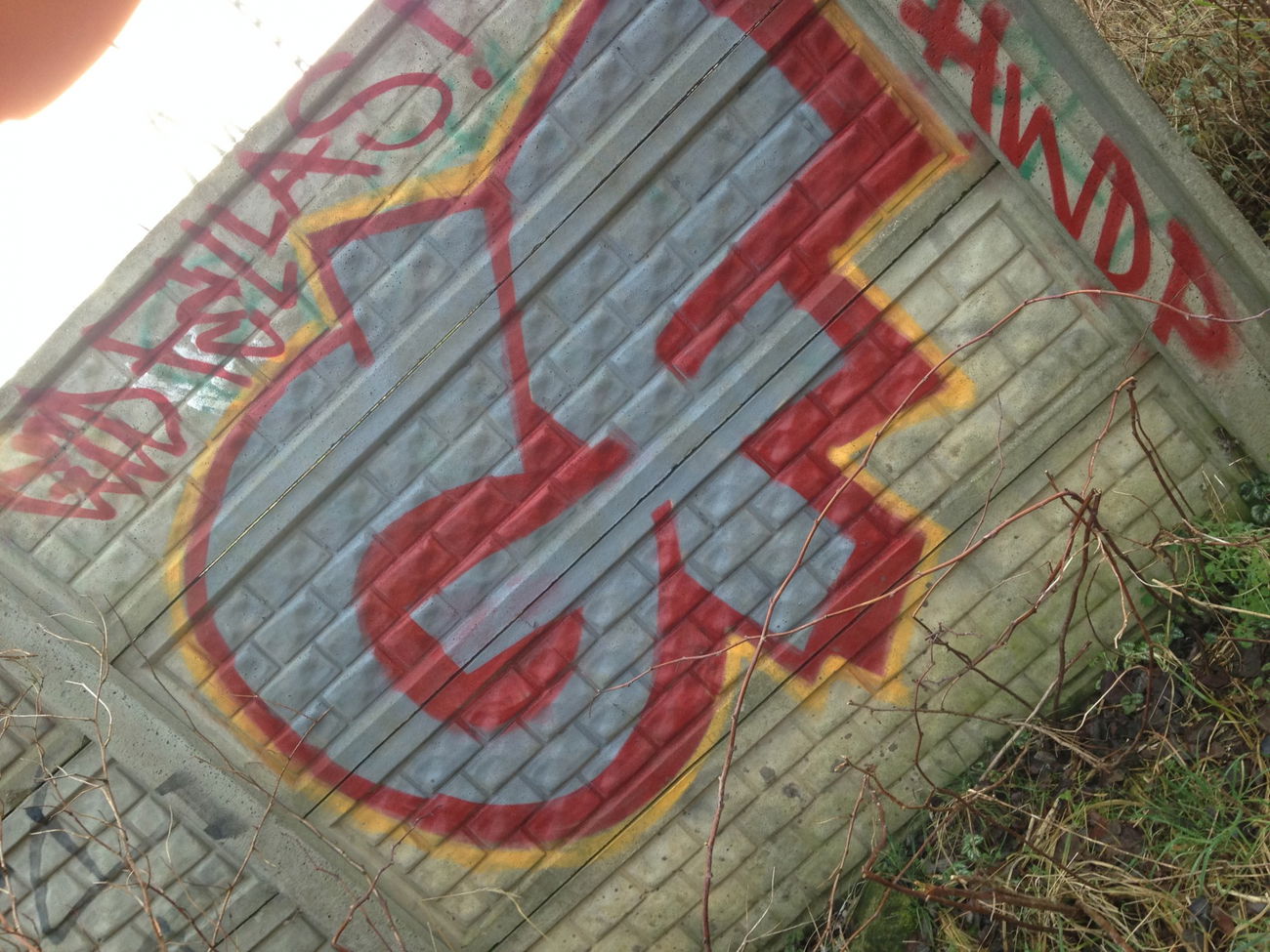 Graffiti Wall - Photo by DOVE1 - Gf