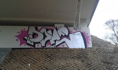 Graffiti Bombing - Photo by DOVE1