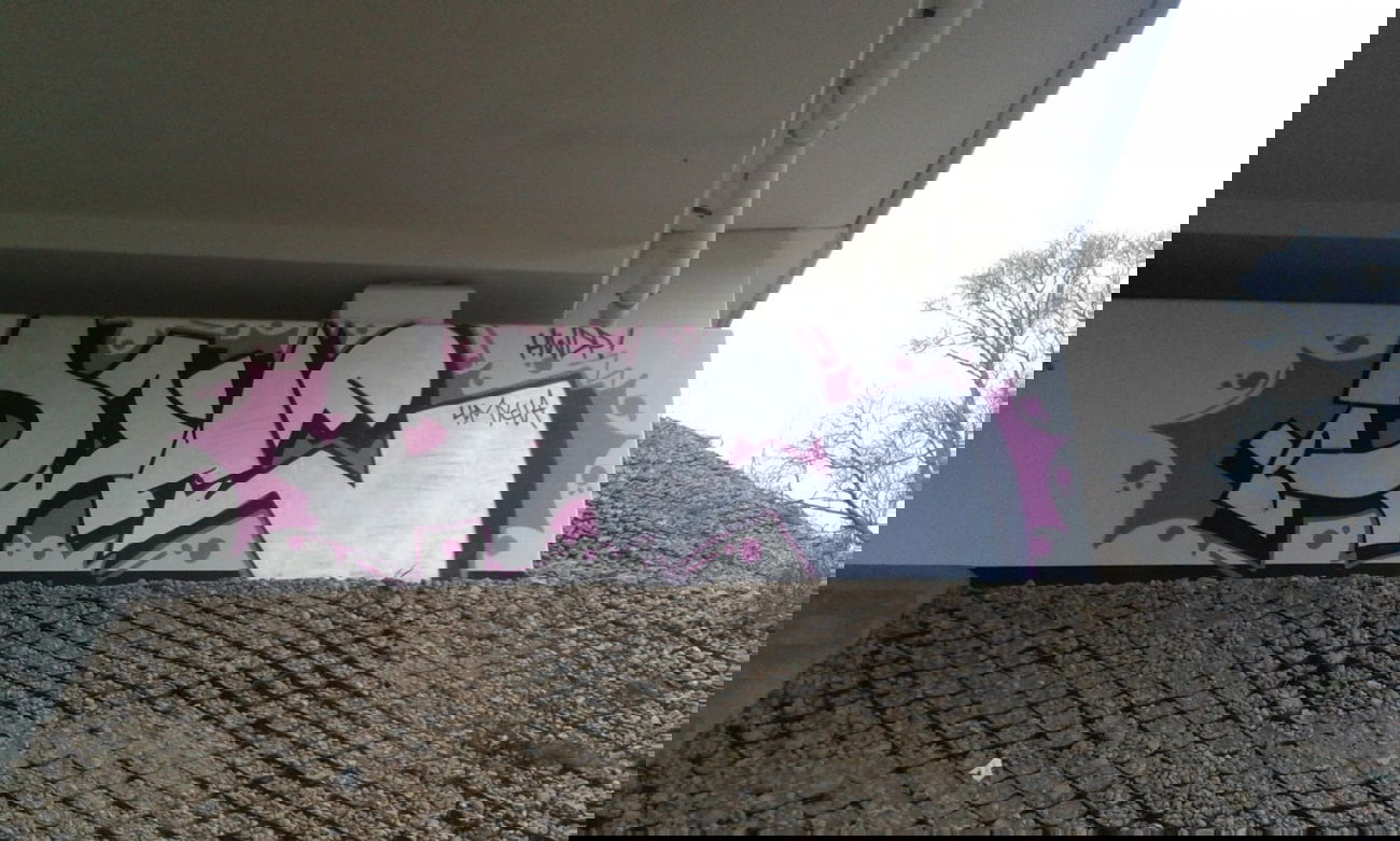 Graffiti Bombing - Photo by DOVE1