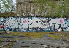 Graffiti Bombing - Photo by DRCOOPER - Biernot (2017)