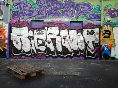 Graffiti Bombing - Photo by DRCOOPER - biernot (2017)