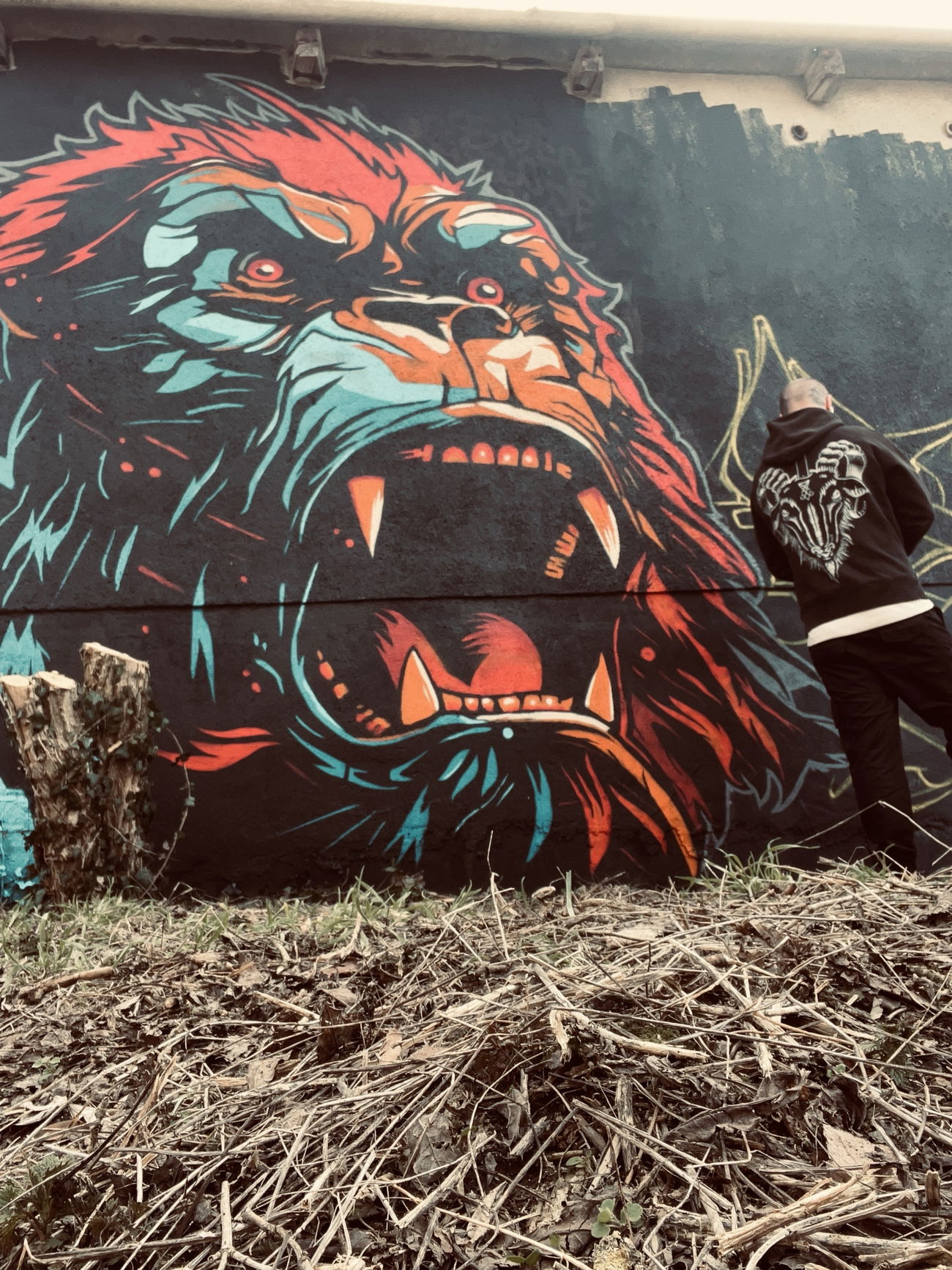 Graffiti Artwork in Eisdorf - Photo by DRES