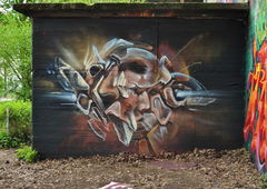 Graffiti Wall - Photo by DRIBS - bird (2016)