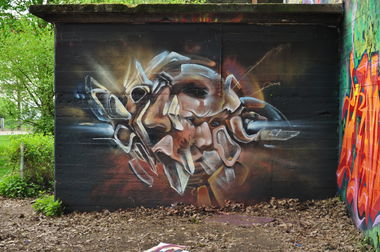 Graffiti Wall - Photo by DRIBS - bird (2016)