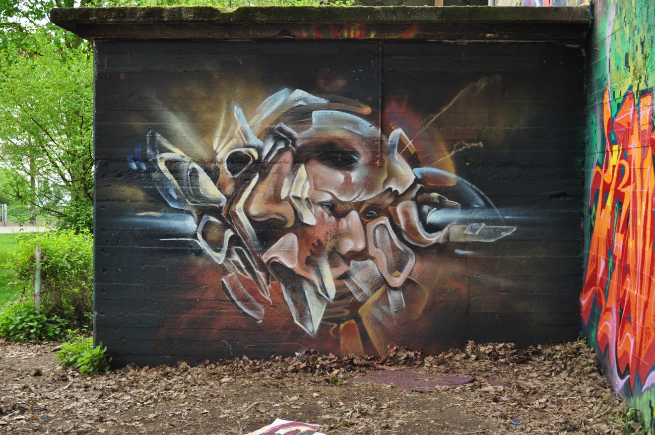 Graffiti Wall - Photo by DRIBS - bird (2016)