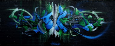 Graffiti Wall - Photo by DRIBS - bird, DRIBS