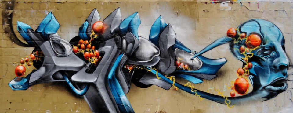 Graffiti Wall - Photo by DRIBS - bird, DRIBS